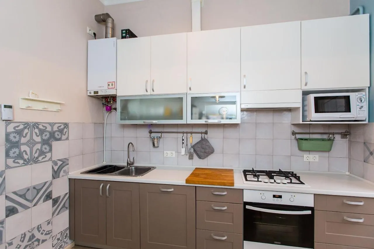 Light And Spacious Apartment On Gazova Str Lviv Ukraine